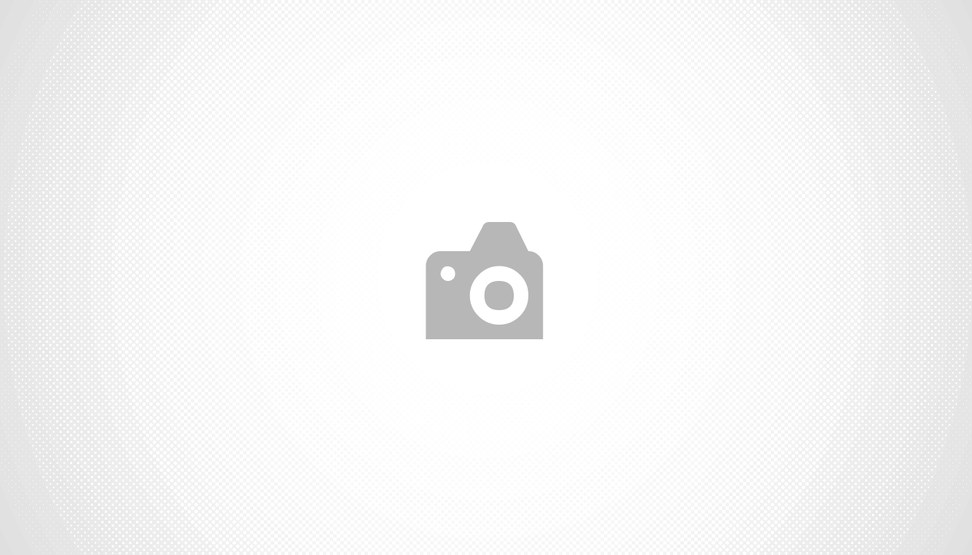 Identification et gestion des allergies courantes chez les chiens domestiques